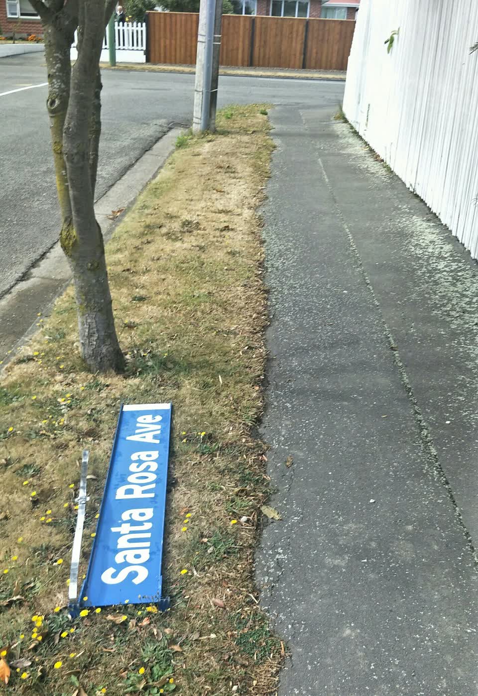 The photograph attached to this roading/streets report