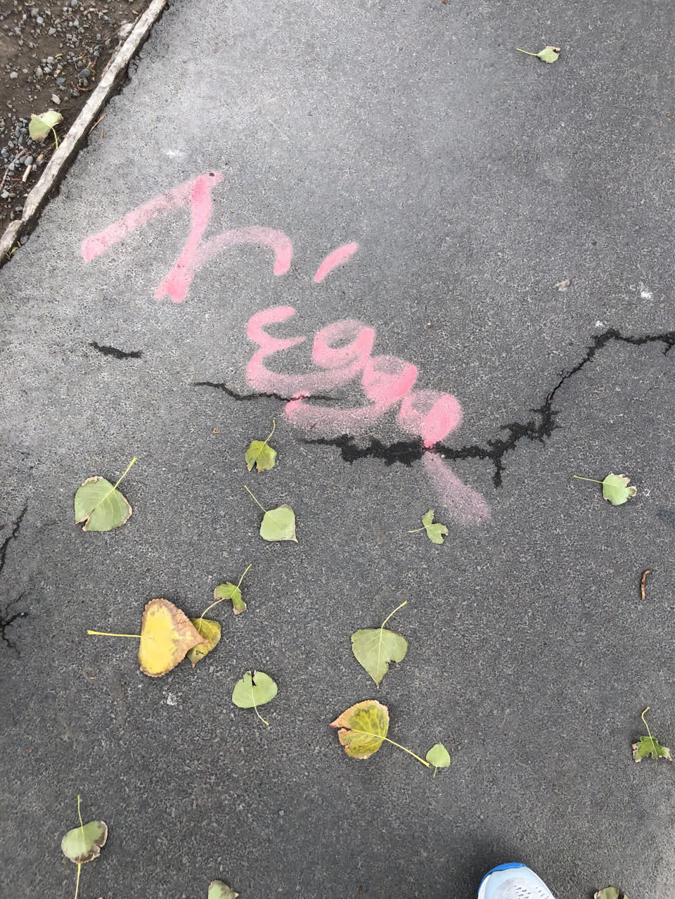 The photograph attached to this graffiti report