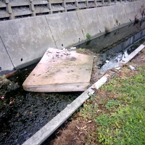 Rubbish/Recycling — a report photo