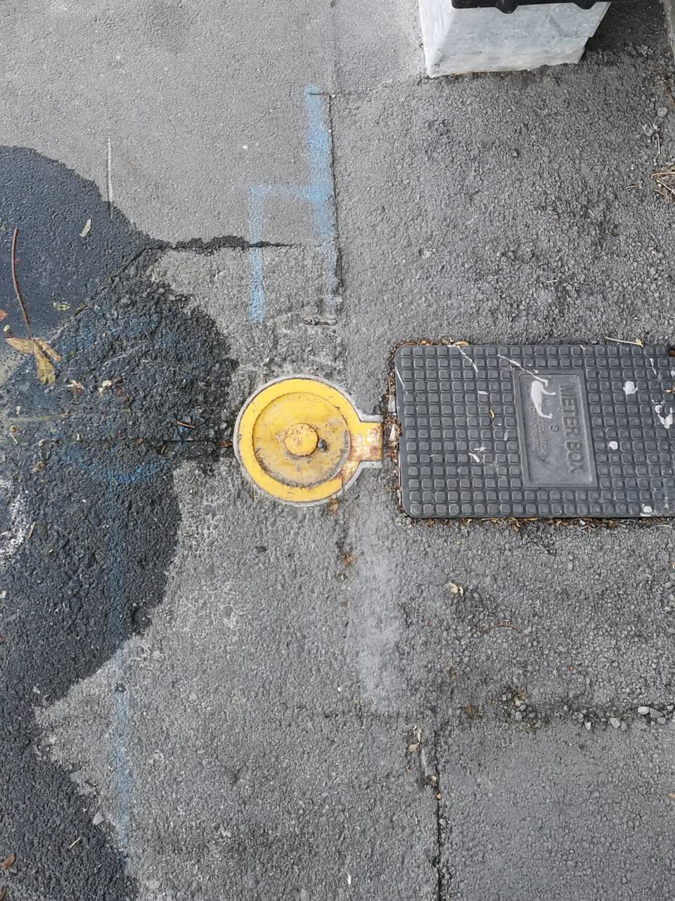 The photograph attached to this water supply report