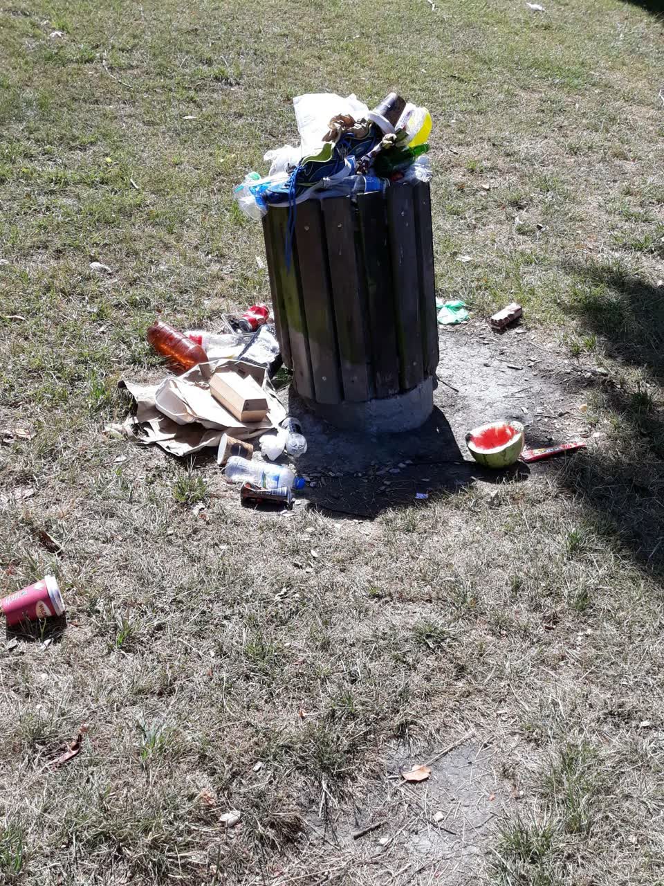 The photograph attached to this rubbish/recycling report