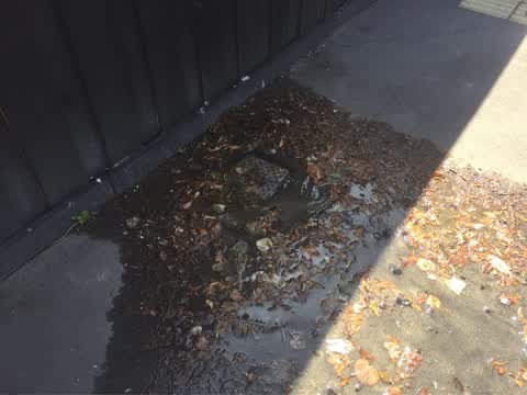 Water Supply, a report photo