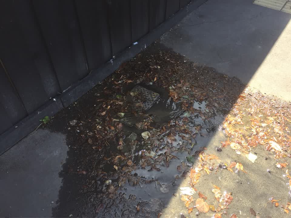 The photograph attached to this water supply report