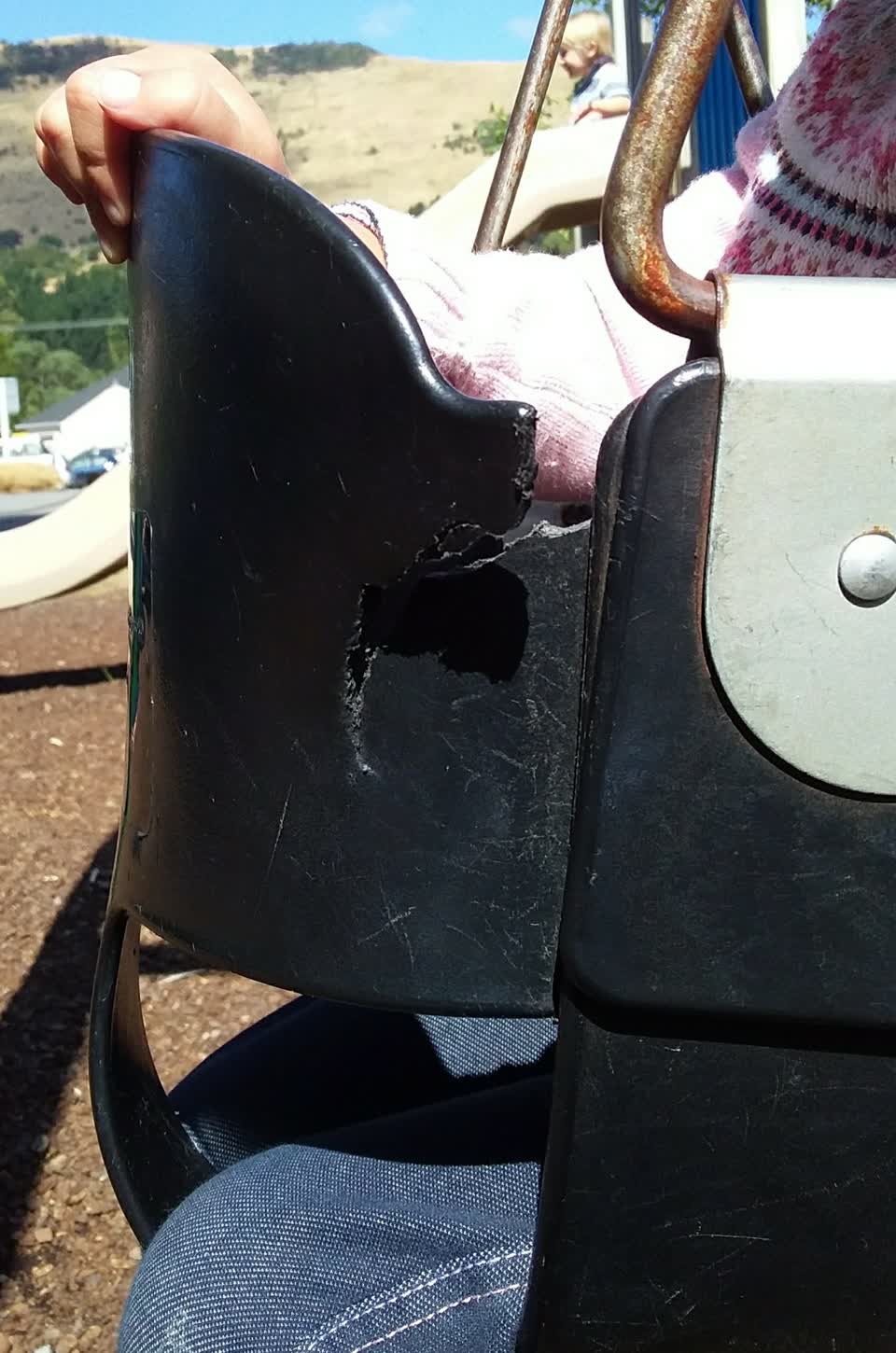 The photograph attached to this parks report