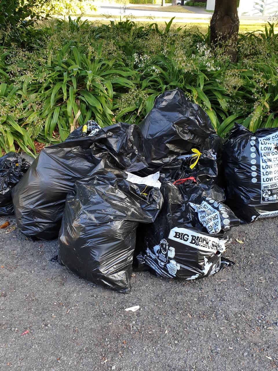 The photograph attached to this rubbish/recycling report