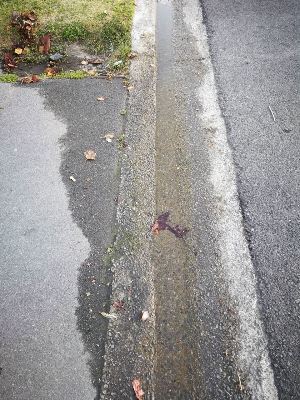 The photograph attached to this flooding report