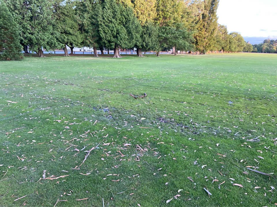 The photograph attached to this parks report