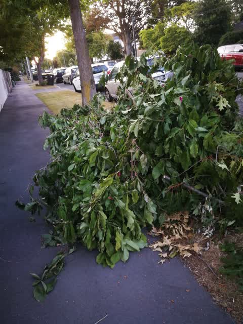 Rubbish/Recycling, a report photo