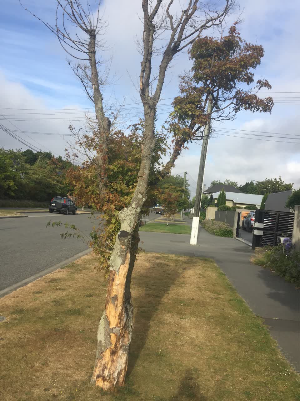 The photograph attached to this roading/streets report