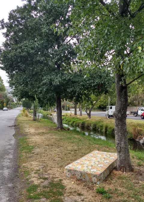 Parks, a report photo