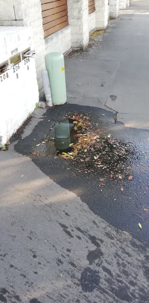 Water Supply, a report photo