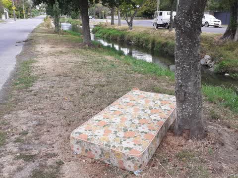 Rubbish/Recycling, a report photo