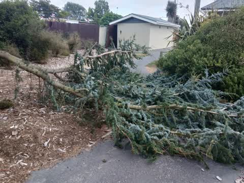 Parks, a report photo