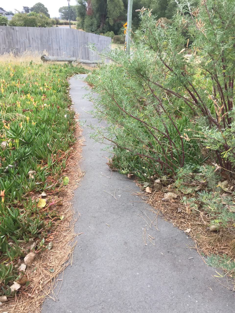 The photograph attached to this parks report