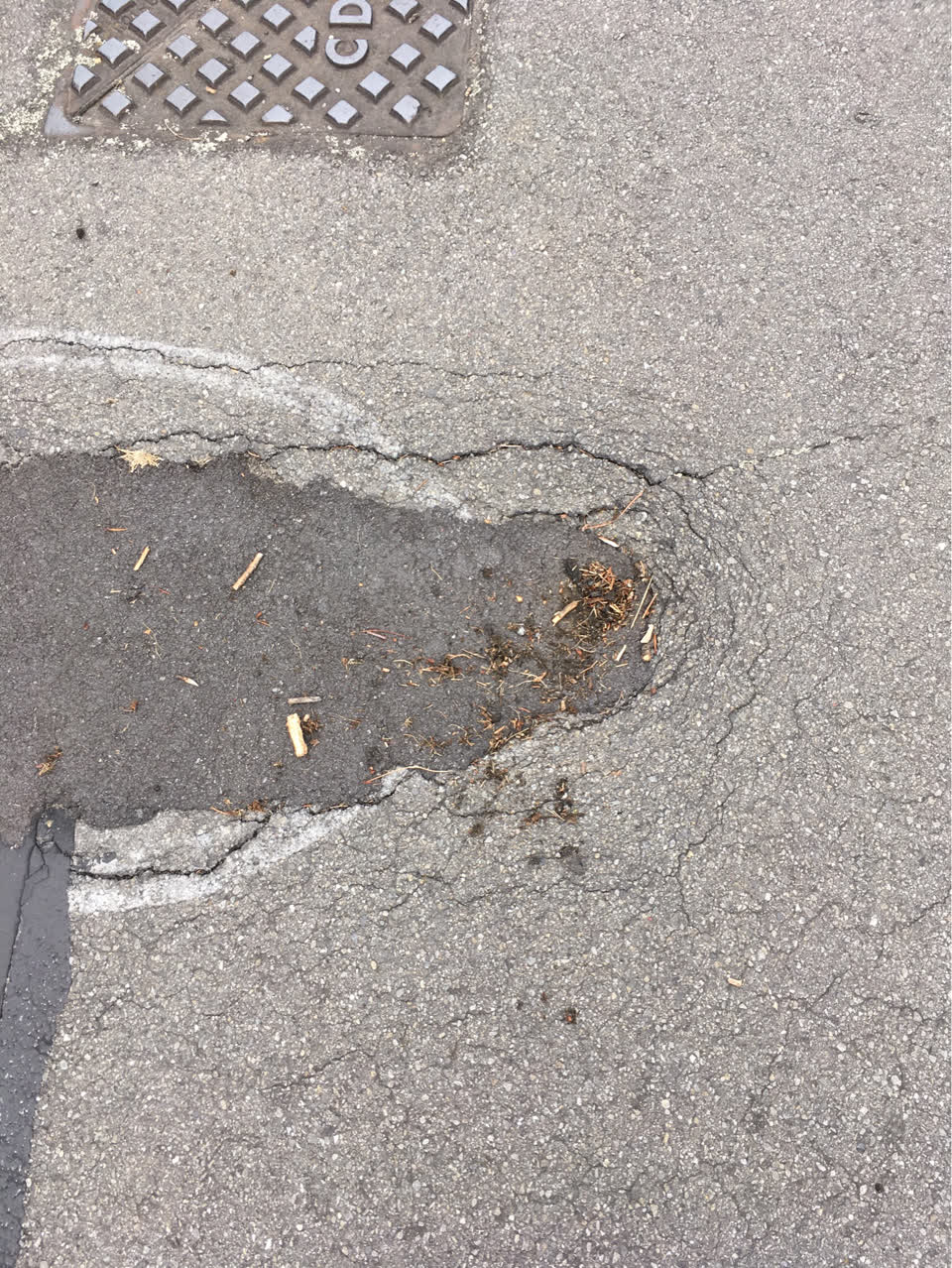 The photograph attached to this roading/streets report