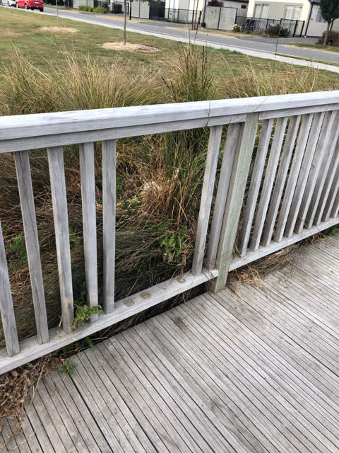 Parks, a report photo