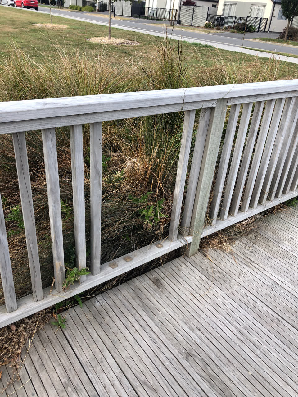 The photograph attached to this parks report