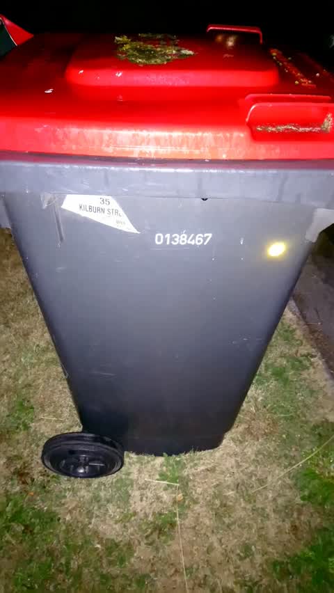 Rubbish/Recycling, a report photo