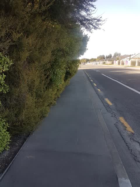 Roading/Streets, a report photo