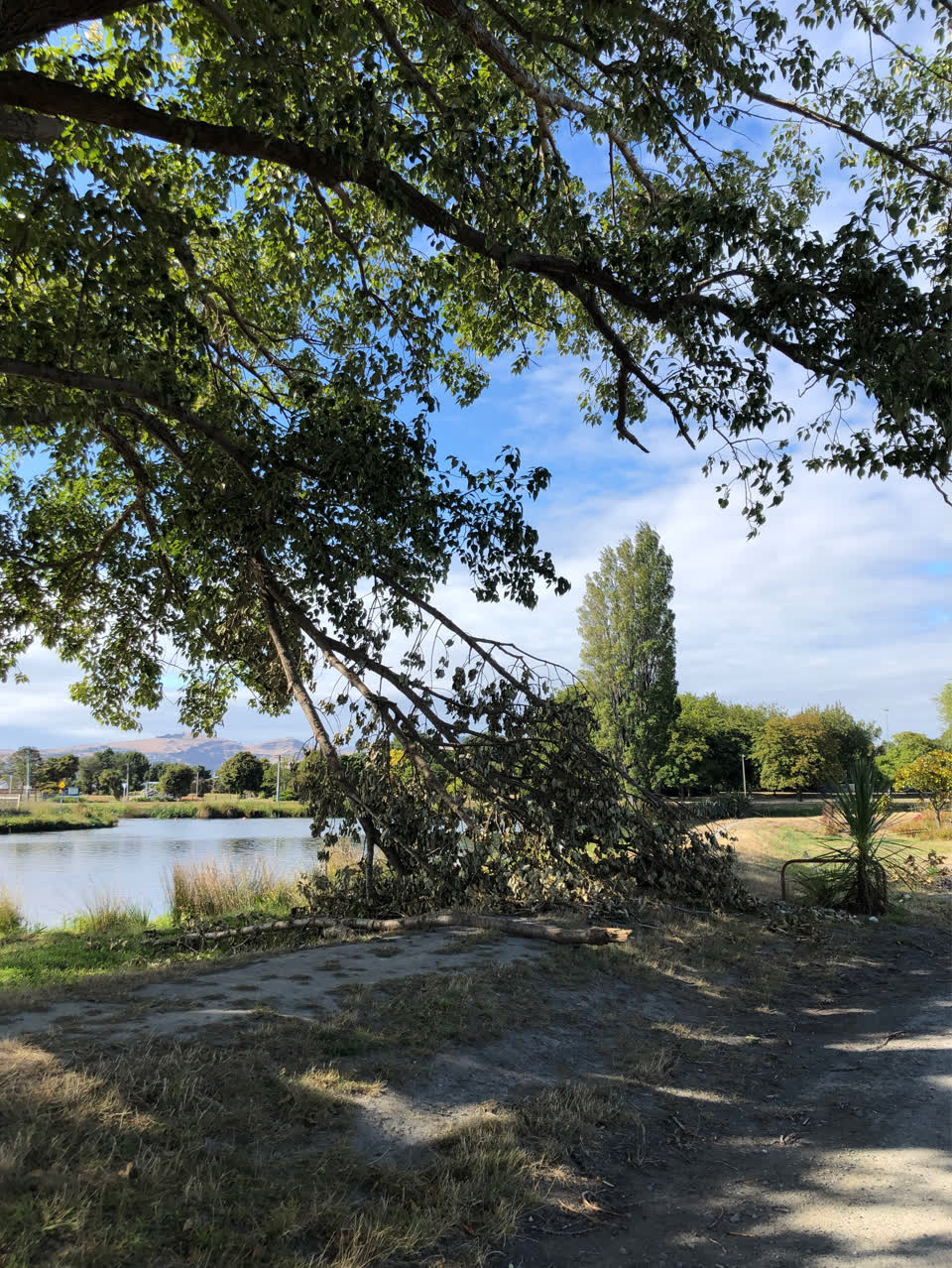 The photograph attached to this parks report