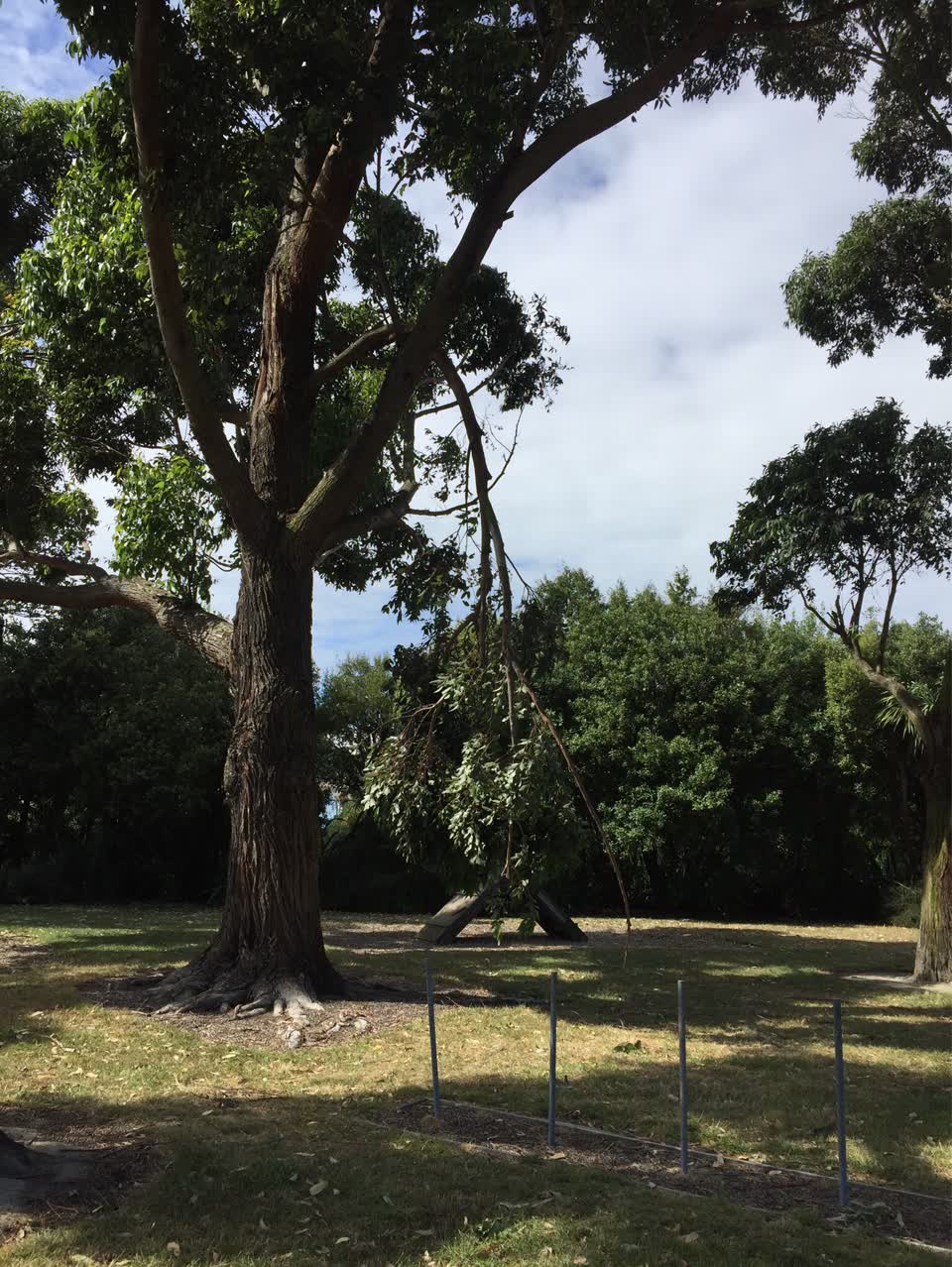 The photograph attached to this parks report