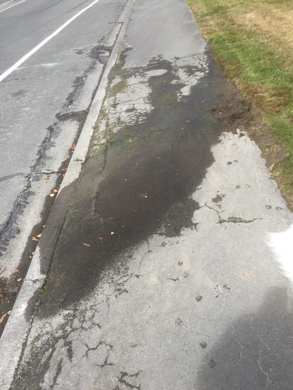 The photograph attached to this water supply report