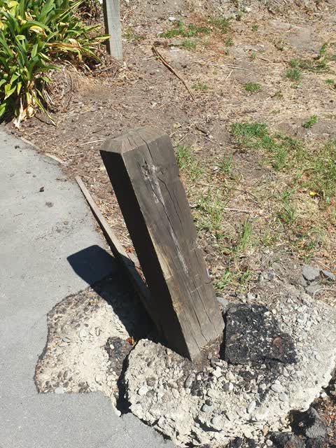 Parks — a report photo