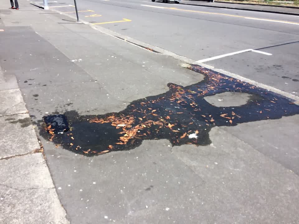 The photograph attached to this water supply report