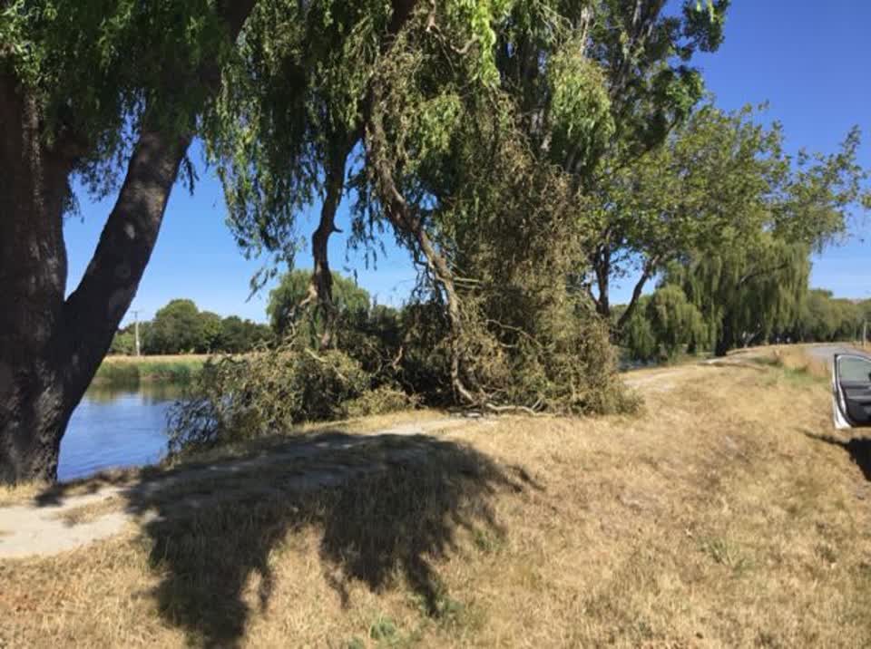 The photograph attached to this parks report