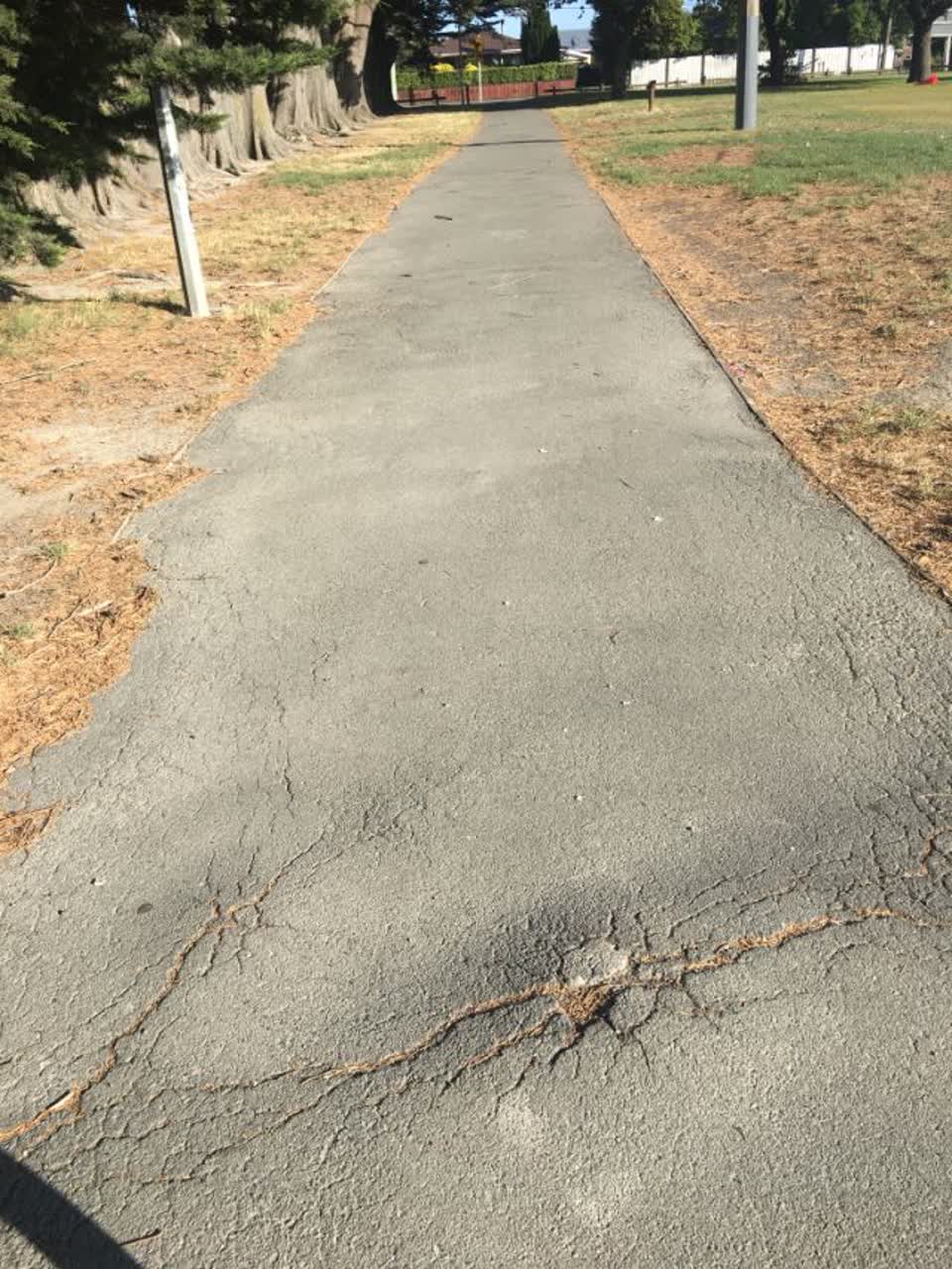 The photograph attached to this parks report