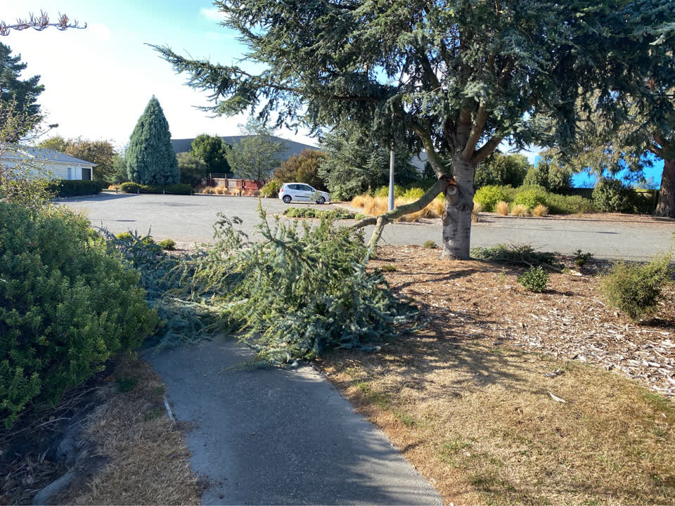 The photograph attached to this parks report