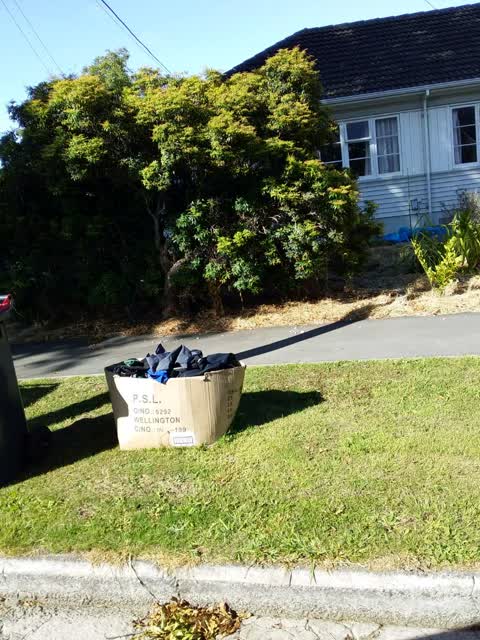 Rubbish/Recycling, a report photo