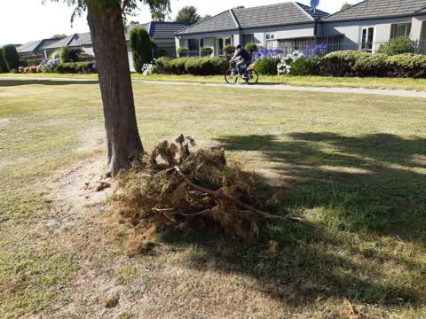 Parks, a report photo