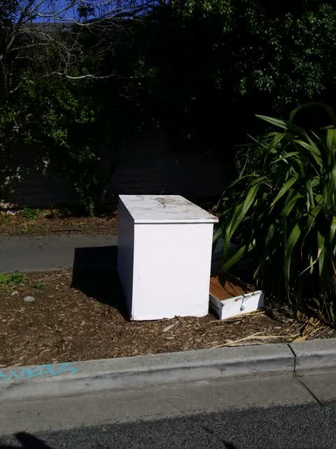 Rubbish/Recycling, a report photo