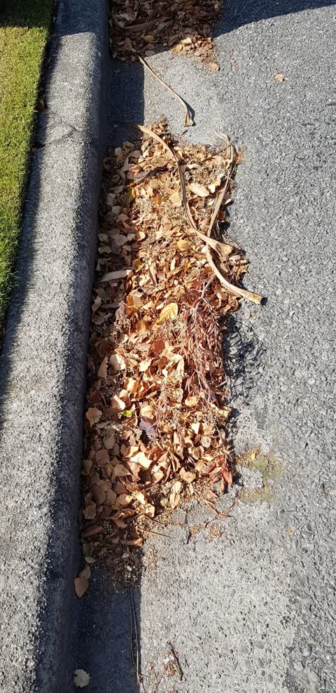 Roading/Streets, a report photo