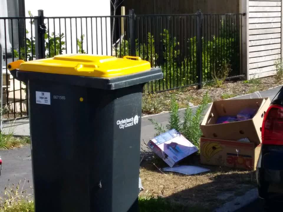 The photograph attached to this rubbish/recycling report