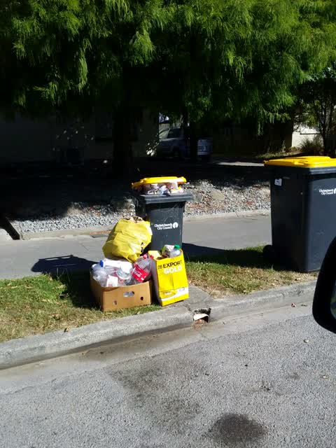 Rubbish/Recycling, a report photo