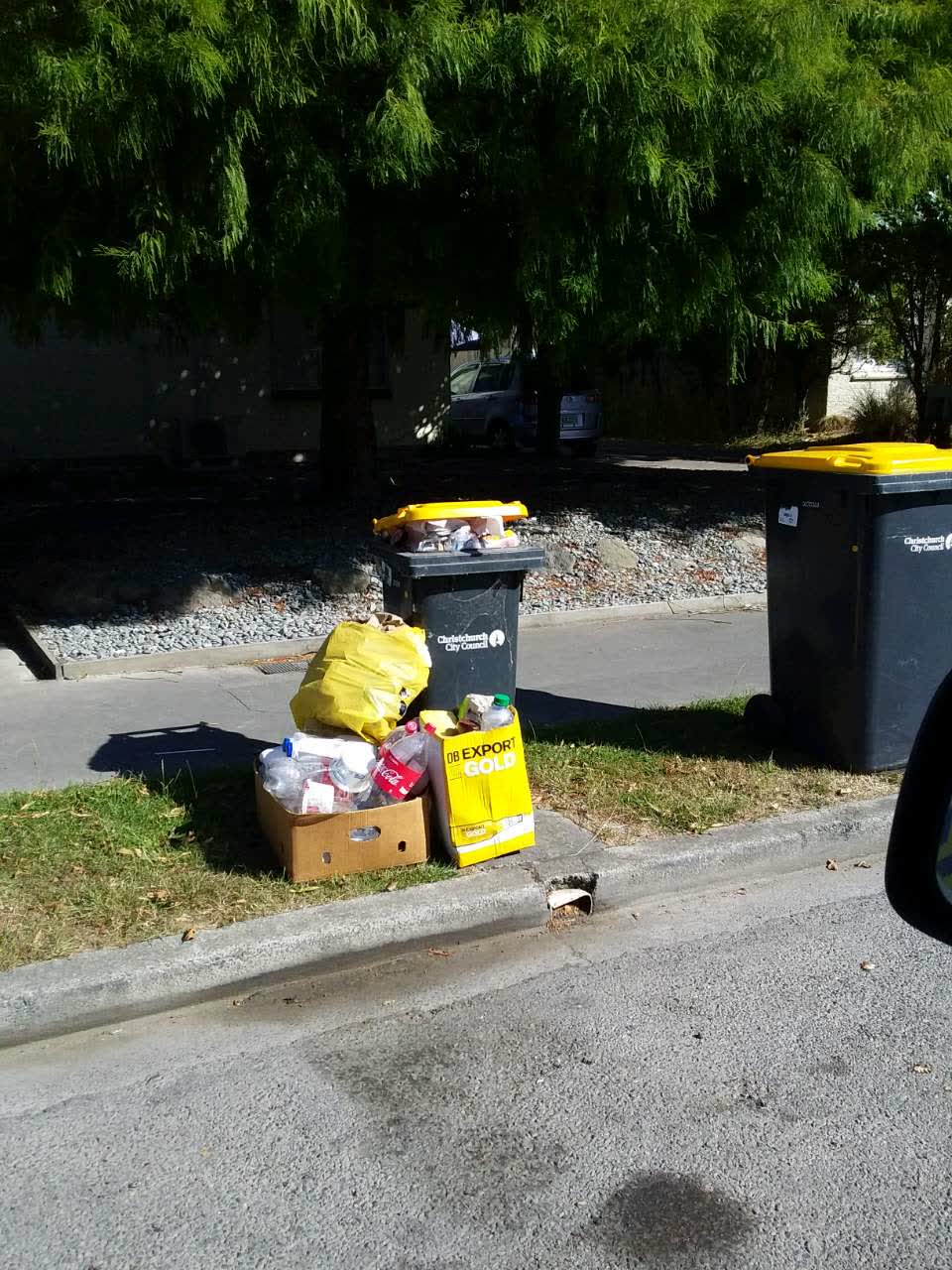 The photograph attached to this rubbish/recycling report