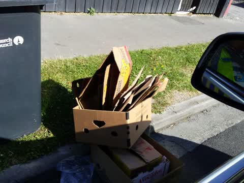 Rubbish/Recycling — a report photo