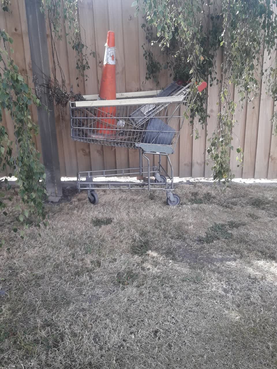 The photograph attached to this parks report