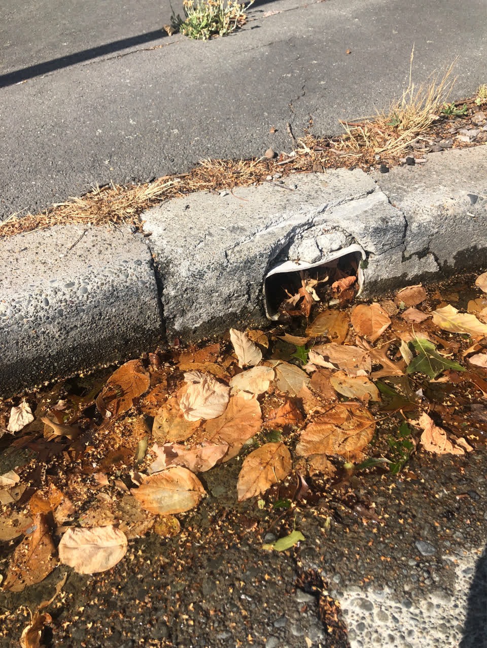 The photograph attached to this wastewater/stormwater report
