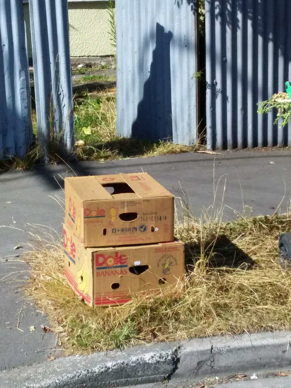 The photograph attached to this rubbish/recycling report