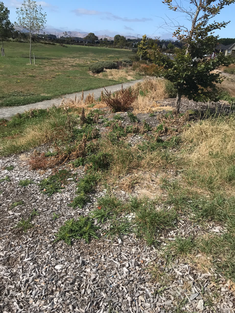 The photograph attached to this parks report