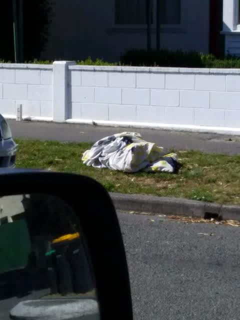 Rubbish/Recycling — a report photo