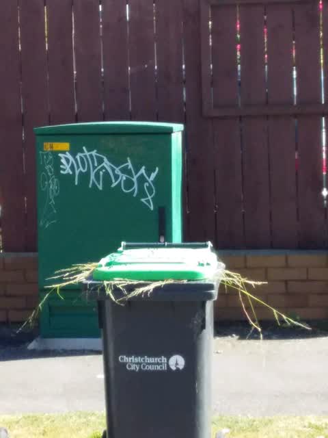 Graffiti — a report photo