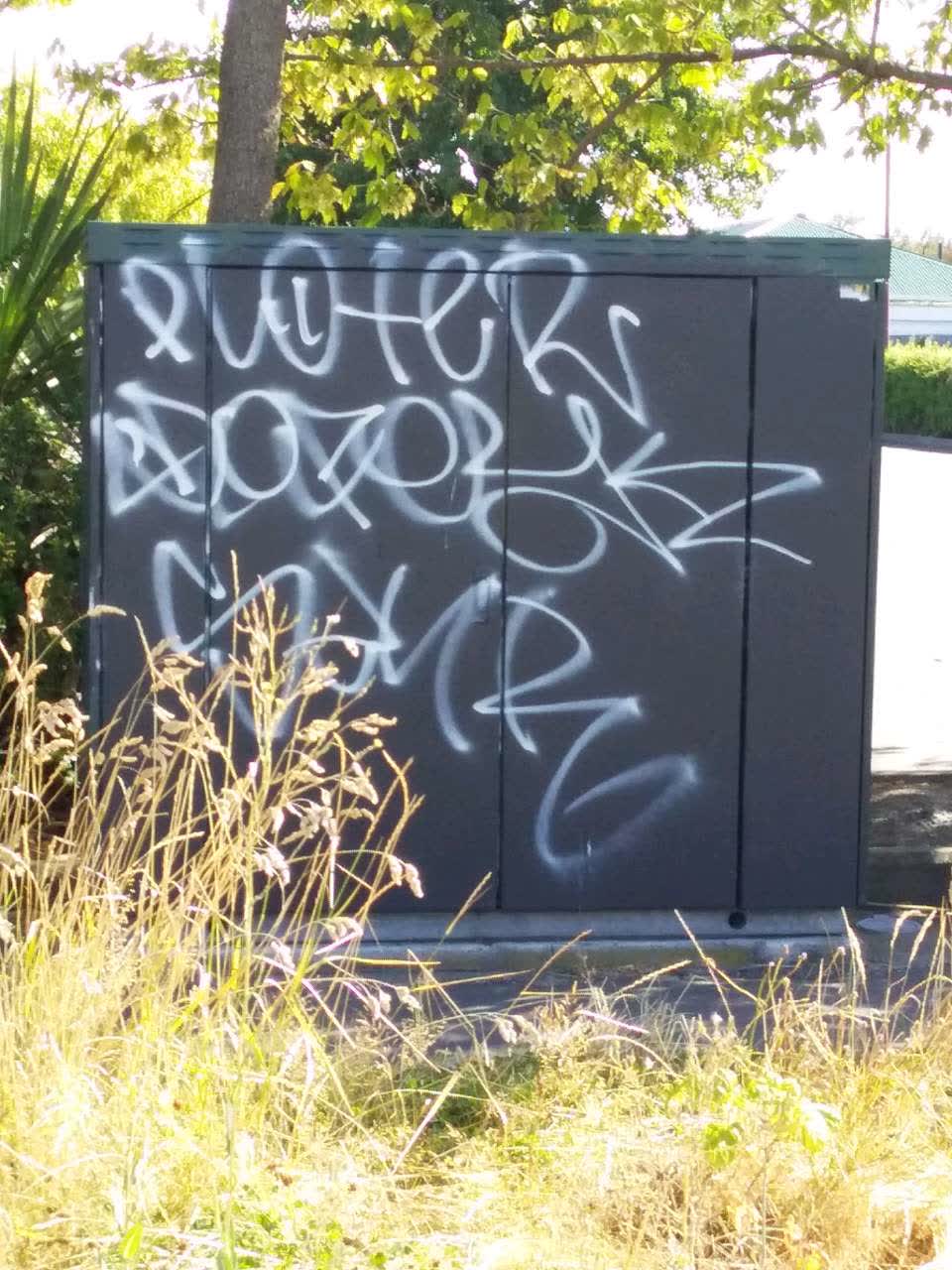 The photograph attached to this graffiti report