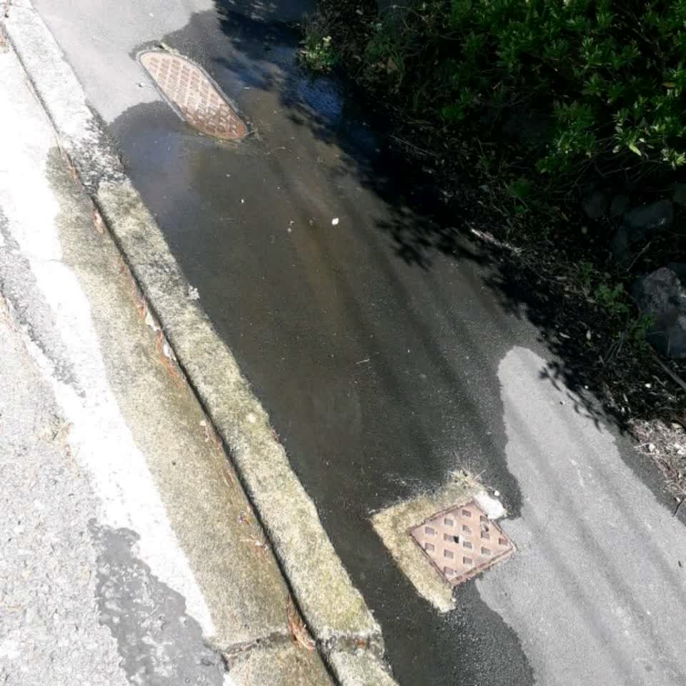 The photograph attached to this water supply report
