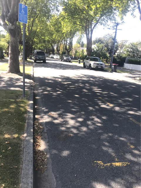 Roading/Streets, a report photo
