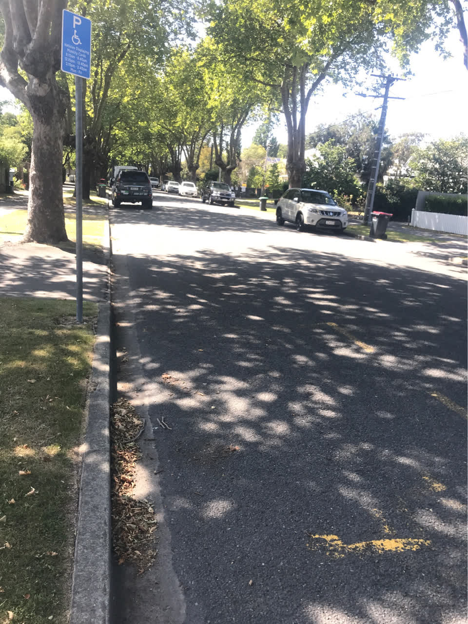 The photograph attached to this roading/streets report