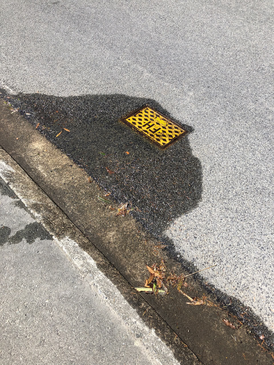 The photograph attached to this flooding report
